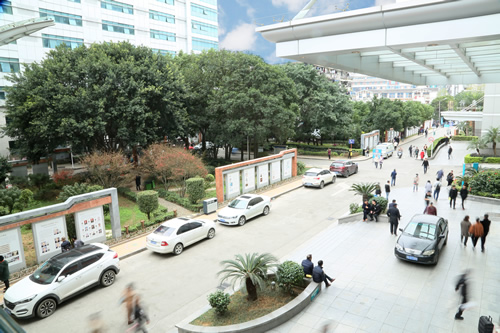 載史長廊映初心  無聲文化踐使命 我院美麗院區精品文化工程——醫院文化長廊精彩綻放