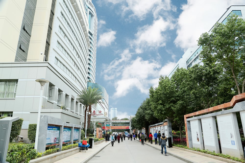 載史長廊映初心  無聲文化踐使命 我院美麗院區精品文化工程——醫院文化長廊精彩綻放