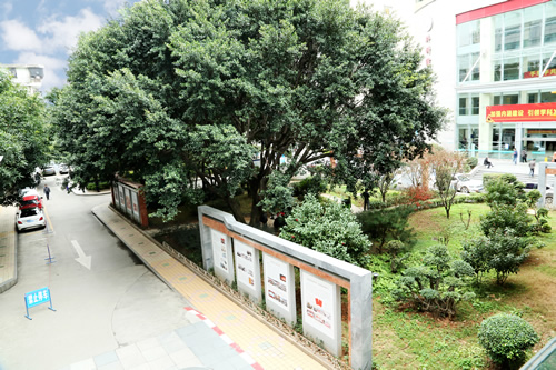 載史長廊映初心  無聲文化踐使命 我院美麗院區精品文化工程——醫院文化長廊精彩綻放