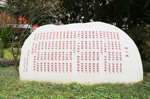 載史長廊映初心  無聲文化踐使命 我院美麗院區精品文化工程——醫院文化長廊精彩綻放