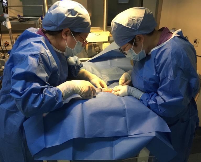 龍鳳胎早產生命垂?！爸B巢”守護 兩個寶寶都只有1公斤多；經過兩周多全力搶救，情況好轉， 目前體重增至1.8公斤左右