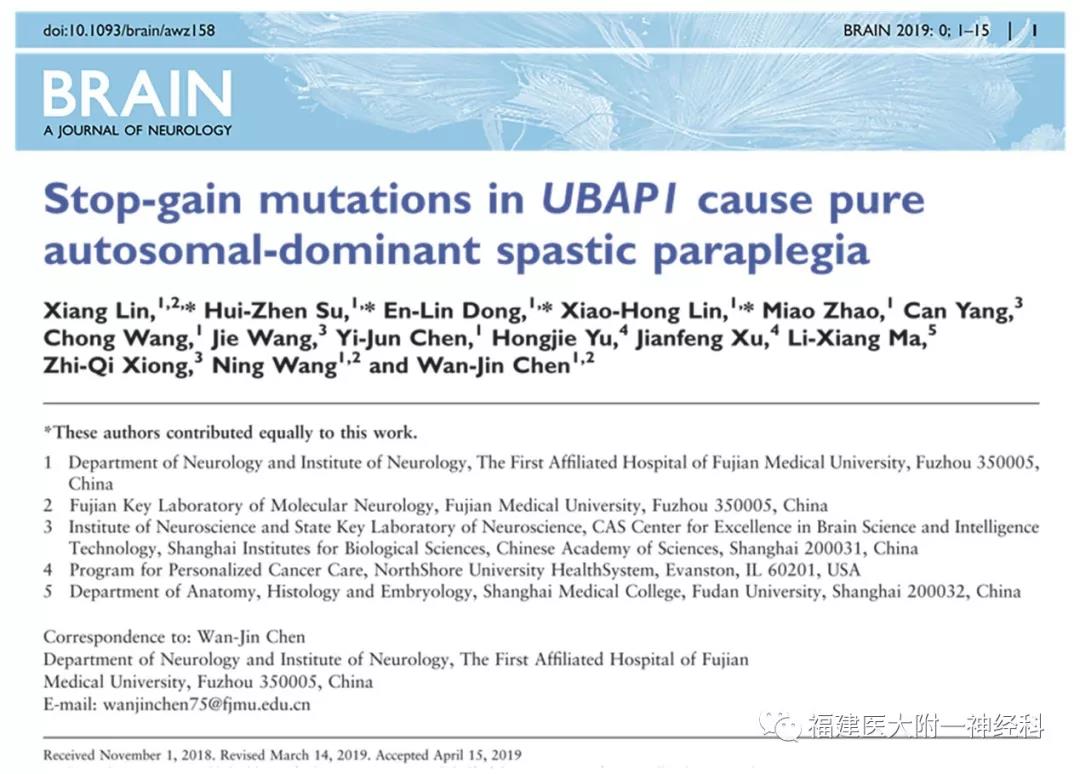 我院陳萬金教授和王檸教授團隊發(fā)現(xiàn) 遺傳性痙攣性截癱新亞型及新致病基因 我院陳萬金教授和王檸教授團隊發(fā)現(xiàn) 遺傳性痙攣性截癱新亞型及新致病基因