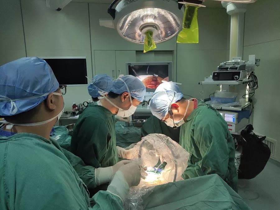 我院肝膽胰疝外科主辦、聯(lián)合承辦國家級疝外科視頻年會暨亞太疝協(xié)會培訓(xùn)班、福建省疝外科學(xué)習(xí)班