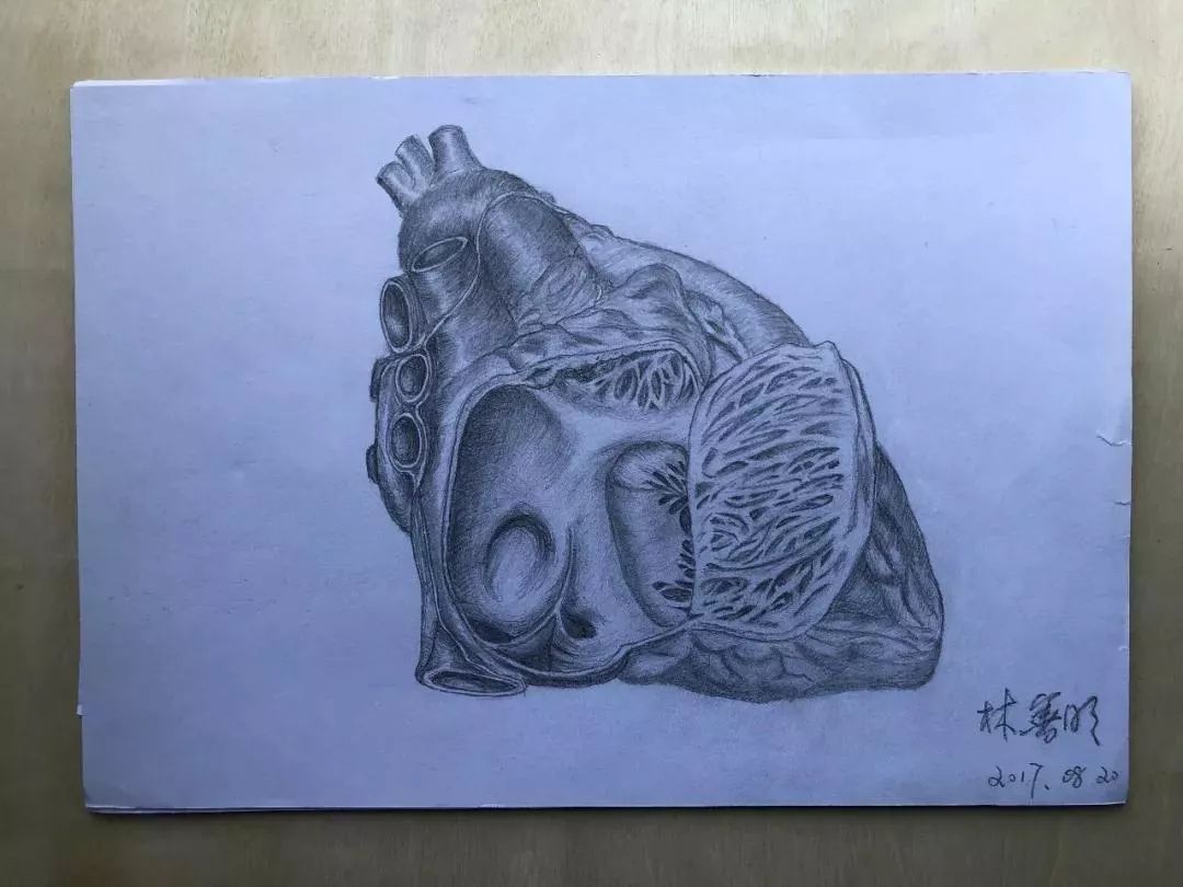 『媒體看附一』隱藏在附一醫院的“靈魂畫手”