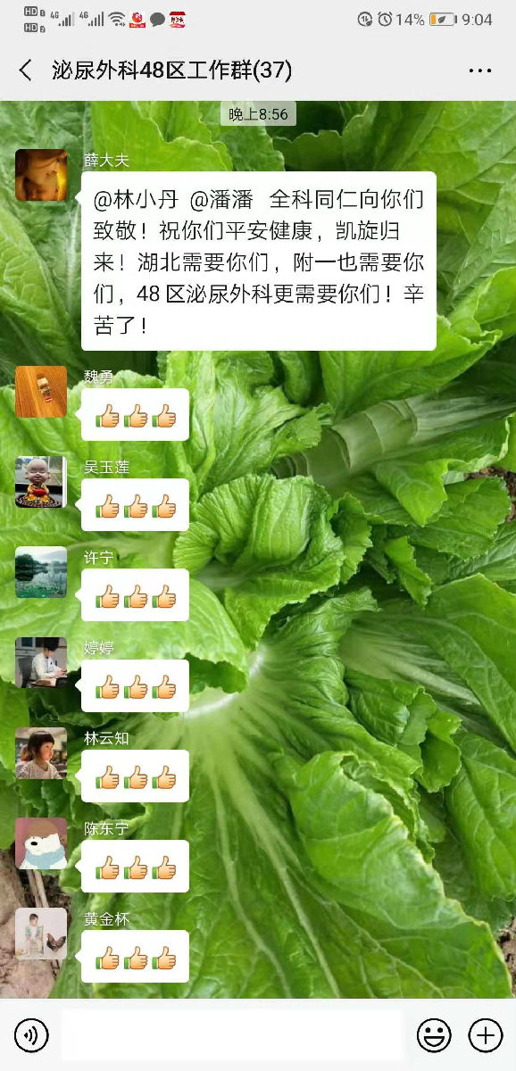 讓黨旗在防控疫情斗爭的第一線高高飄揚(yáng)