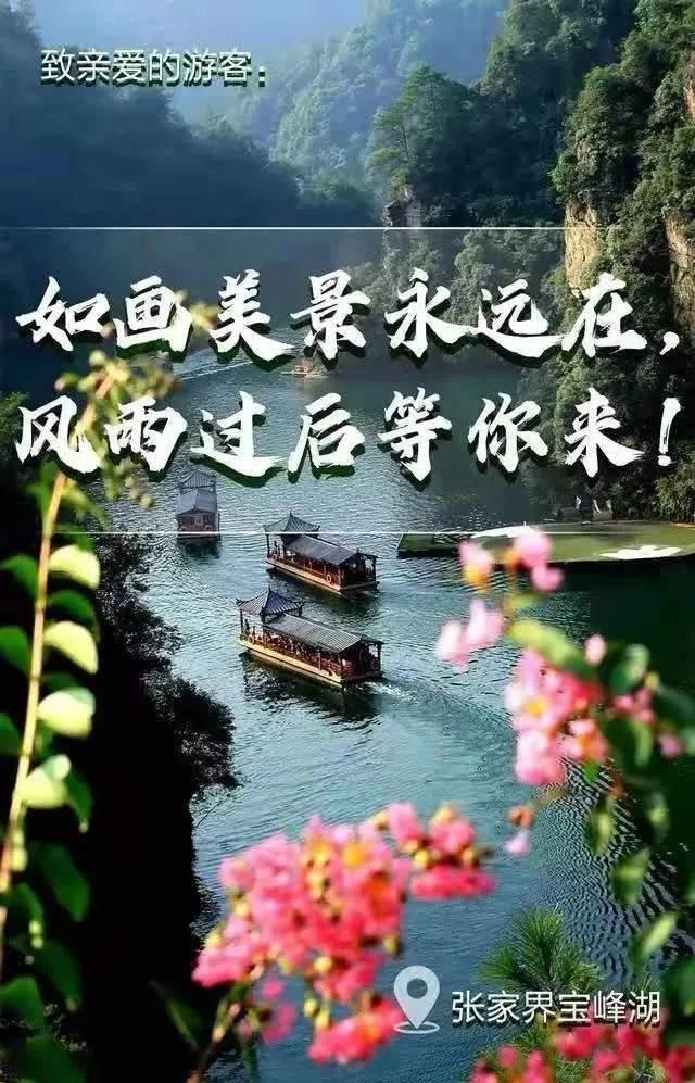 【以案釋紀】防疫不力，多地多人被問責！