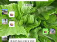 讓黨旗在防控疫情斗爭的第一線高高飄揚