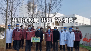 『直通宜昌』同栽友誼樹，見證戰友情