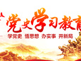 學黨史悟思想辦實事開新局 以優異成績迎接建黨一百周年