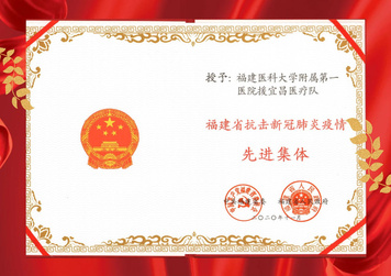 福建醫科大學附屬第一醫院援宜昌醫療隊先進集體