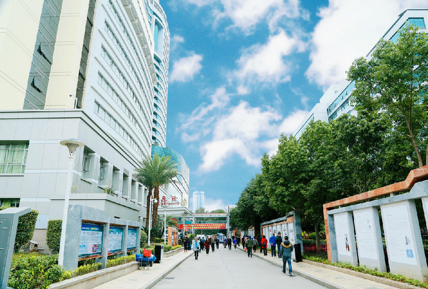 醫(yī)院文化長廊及主題雕塑效果圖