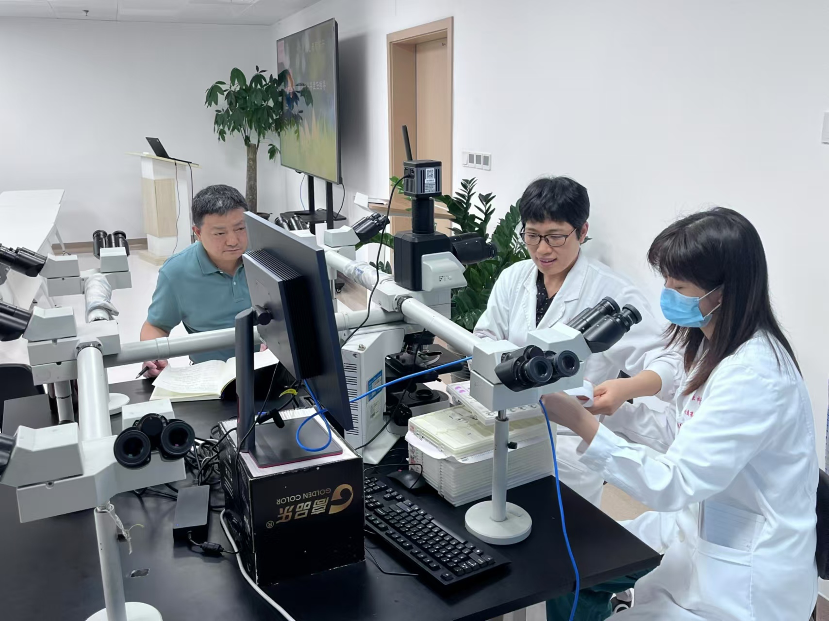省內首位病理科主任到我院訪學交流
